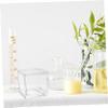 Veemoon Glass Staining Jar for Vertical Horizontal Racks Microscope Accessory for Science Projects for Staining Specimen Preparation view 4