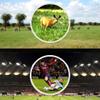 Telescope 40X60 Monocular Telescope NightHD High Power Mobile Telescope Fully Versatile Coated Optical Glass Lens + Phon view 3
