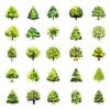50Pcs Forest Stickers, Various Green Trees Stickers for Teens Boy Girls,Laptop Sticker Waterproof Luggage Skateboard Water Bottle Stickers Decal Bicycle Bumper Snowboard view 3