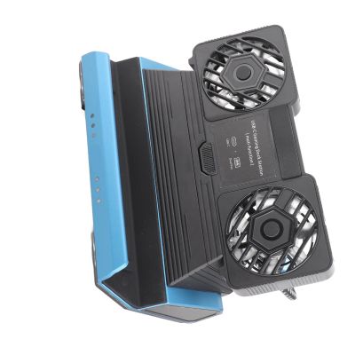 Bewinner 9 in 1 Dual Cooling Fan Docking Station 4k 60Hz, USB 3.0 Ports, 100W PD for Deck Rog Ally Game Consoles