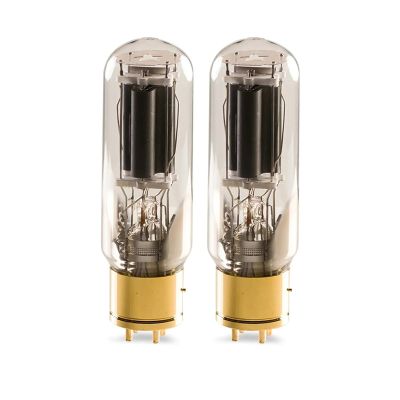 LHXEQJAM 845 Tube Amplifier kit DIY Audio Precision Matching(2 pcs)