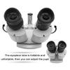 10X-40X Binocular Stereo Microscope with Fluorescence Ring Light, Illuminated Industrial for Watch Repair, PCB Inspection, and Educational Use view 3