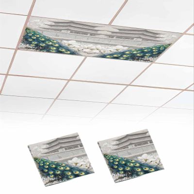 Wowouhiya 2 Pack Fluorescent Light Cover for Ceiling Lights, Peacock Elegant Magnetic Classroom Light Filters 4x2 Feet, Watercolor Feather Retro Attic Flower Decorative Ceiling Shade Panel for Office