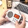DC 5V Digital AM/FM Radio SY-8801 Backlit LED Display Loud Speaker Manual Auto Channel Search Smart Preset for Home Use view 4
