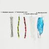 5m 6/8-core TRVVPS high Flexibility Bending Resistant Drag Chain Twisted Pair Shielded Wire 26 24 22 20 18 17AWG Oil Resistant(17 AWG 1.0MM,8 Cores) view 3