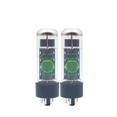 PHTJALIF EL34 Vacuum Tube HiFi Audio Tube Amplifier Kit DIY(2pcs Matched Pair)