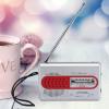 GOWENIC Portable AM FM Radio with Speaker, Pocket Sized Personal Radio for Travel Outdoor Home with Headphone Jack Clear Sound Lightweight ABS view 3