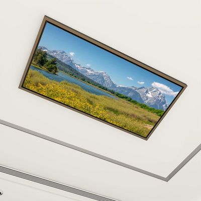 4 Pack Fluorescent Light Covers for Ceiling Lights Mount Moran Oxbow Bend Snake River Grand Teton National Park Wyoming Decorative Magnetic Fluorescent Light Filters for Classroom Office Home 4x2 ft