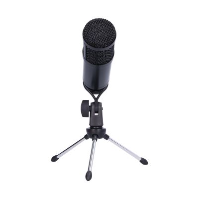 Aurovibe Cardioid Condenser USB Microphone with Noise Reduction, Wired Mic for Computers and Radio Broadcasting, Ideal for Gaming, Music Recording, Online Conference