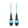 Eaton Tripp Lite Series 5 Meter OM4 50/125 Fiber Optic Cable, 100G Multimode (12F MPO/MPO-PC Female-to-Female) Type-A Polarity, OFNP Jacket, Aqua, TAA Compliant (N845A-05M-12TAA) view 1