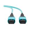 Eaton Tripp Lite Series 5 Meter OM4 50/125 Fiber Optic Cable, 100G Multimode (12F MPO/MPO-PC Female-to-Female) Type-A Polarity, OFNP Jacket, Aqua, TAA Compliant (N845A-05M-12TAA) view 3