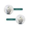 High-Performance 8x32 ED Glass Waterproof Binoculars for Outdoor Adventures view 4
