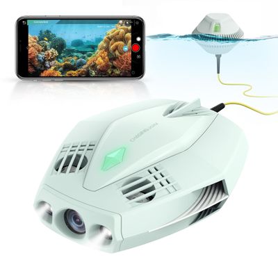 Chasing Dory Underwater Drone - Palm-Sized 1080p Full HD Underwater Drone with Camera for Real Time Viewing, APP Remote Control Purple (LightGreen)