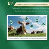 Animal Locator for Cattle, Horses, Camels, Solar GPS Anti-Lost Tracker, 20000mAh Large Capacity, Real-time Positioning, Historical Track Playback view 4