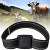 Erxewim Solar Animal Tracker, Cow GPS Tracker, Historical Track, Real-time Positioning, Waterproof, for Cattle, Sheep, Horses and Camels view 1