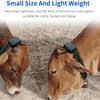 Erxewim Solar Animal Tracker, Cow GPS Tracker, Historical Track, Real-time Positioning, Waterproof, for Cattle, Sheep, Horses and Camels view 2