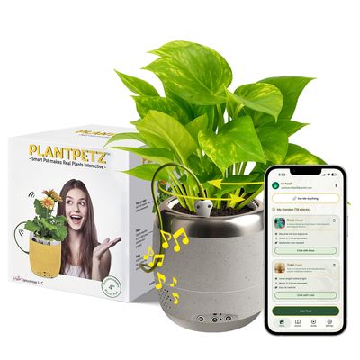 Plant Petz Smart Robotic Planter for 4 Potted Plants- Speckled Sand | Interactive Moving & Dancing Flowerpot with Bluetooth Speaker | Touch Responsive for Real Indoor Plants | Custom Voice Record