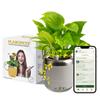 Plant Petz Smart Robotic Planter for 4 Potted Plants- Speckled Sand | Interactive Moving & Dancing Flowerpot with Bluetooth Speaker | Touch Responsive for Real Indoor Plants | Custom Voice Record view 1