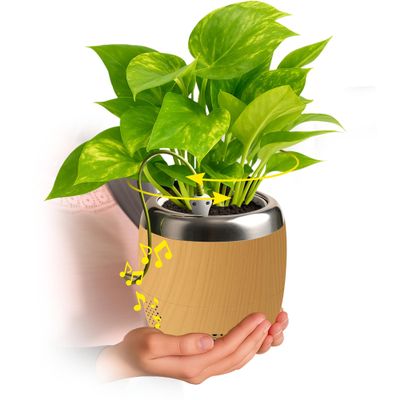 PLANTPETZ Large Robotic Planter Smart Planter Fits 4 Inch Pots | Bluetooth Speaker | Interactive Smart Plant Pot Turns A Real Plant Into a Touch/Motion Responsive Companion - Sequoia Woodgrain
