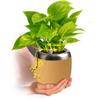 PLANTPETZ Large Robotic Planter  Smart Planter Fits 4 Inch Pots | Bluetooth Speaker | Interactive Smart Plant Pot Turns A Real Plant Into a Touch/Motion Responsive Companion - Sequoia Woodgrain view 1