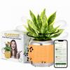 Interactive Smart Robotic Planter Pot & Bluetooth Speaker & Plant Care App - 6 Inch Pots - Sequoia view 1