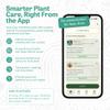 Interactive Smart Robotic Planter Pot & Bluetooth Speaker & Plant Care App - 6 Inch Pots - Sequoia view 4
