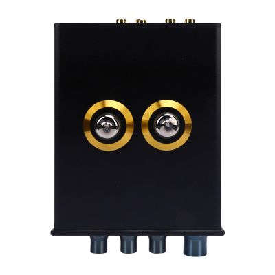 HiFi Vacuum Tube Preamp, Stereo Amplifier with Bass and Treble Control, Studio Grade Audio, 110-240V