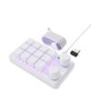LYUVLBIY Custom Macropad RGB Mechanical Keyboard 12 Key Copy Paste Knob Compatible with and Photoshop Hotswap Compatible Keypad(White 2.4G 12Key) view 1