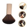 Abaodam Vinyl Record Brush Static Cleaning Tool with Handle for Dust Removal Versatile Use for Records and Musical Instruments Sleek Design for All Styles view 2