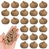 VILLCASE 50Pcs Natural Acorn Shells 0.78In for Crafting Wedding Autumn Party Dried Flower Art Photo Props Seasonal Hanging Decor view 1