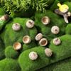 VILLCASE 50Pcs Natural Acorn Shells 0.78In for Crafting Wedding Autumn Party Dried Flower Art Photo Props Seasonal Hanging Decor view 2