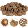 VILLCASE 50Pcs Natural Acorn Shells 0.78In for Crafting Wedding Autumn Party Dried Flower Art Photo Props Seasonal Hanging Decor view 4