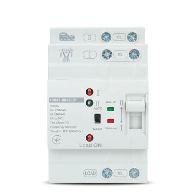 1pc Home Use 220V Double Power Supply Automatic Switch 2P63A Emergency Power Supply Automatic Transfer Switch Uninterrupted ATS(2P 63A 110V)