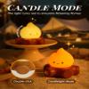 BANDIANCY 3pcs Campfire Night Light for Kids, Cute Campfire Lamp Gifts, LED Light up Flame Lights, Dimmable, Rechargeable Bedside Nightlight, Baby Nursery Dorm Kawaii Dcor Toys Kits view 3