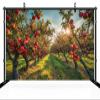CHNYWORK 15ftx10ft Apple Trees Backdrop for Photography Ripe Red Apple Fruits Apple Orchard Harvest Background Fall Thanksgiving Harvest Apple Birthday Baby Shower Party Decor Photo Studio Props view 3