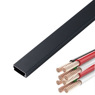 WLCGYD Cable Cover Floor, Wall Mount Tv Cord Raceway Hider Black Silver Wood Color Wire Concealer with Rail, Wide 24mm Management Kit Organizer for Home Office(B,Length 100cm/3.3ft)