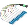 12 core MPO-LC fiber optic patch cord 0.9mm 30cm single mode(SM mpo-12LC 0.3m) view 1