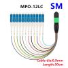 12 core MPO-LC fiber optic patch cord 0.9mm 30cm single mode(SM mpo-12LC 0.3m) view 2