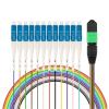 12 core MPO-LC fiber optic patch cord 0.9mm 30cm single mode(SM mpo-12LC 0.3m) view 4