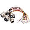 VCALDGFZ GX12 GX16 GX20 to XH2.54 Terminal Wire M12 Aviation Plug 2 3 4 5 6 Pin Male Head Adapter Cable Connector Extension Line 15-30cm(GX20,150MM_4P) view 1