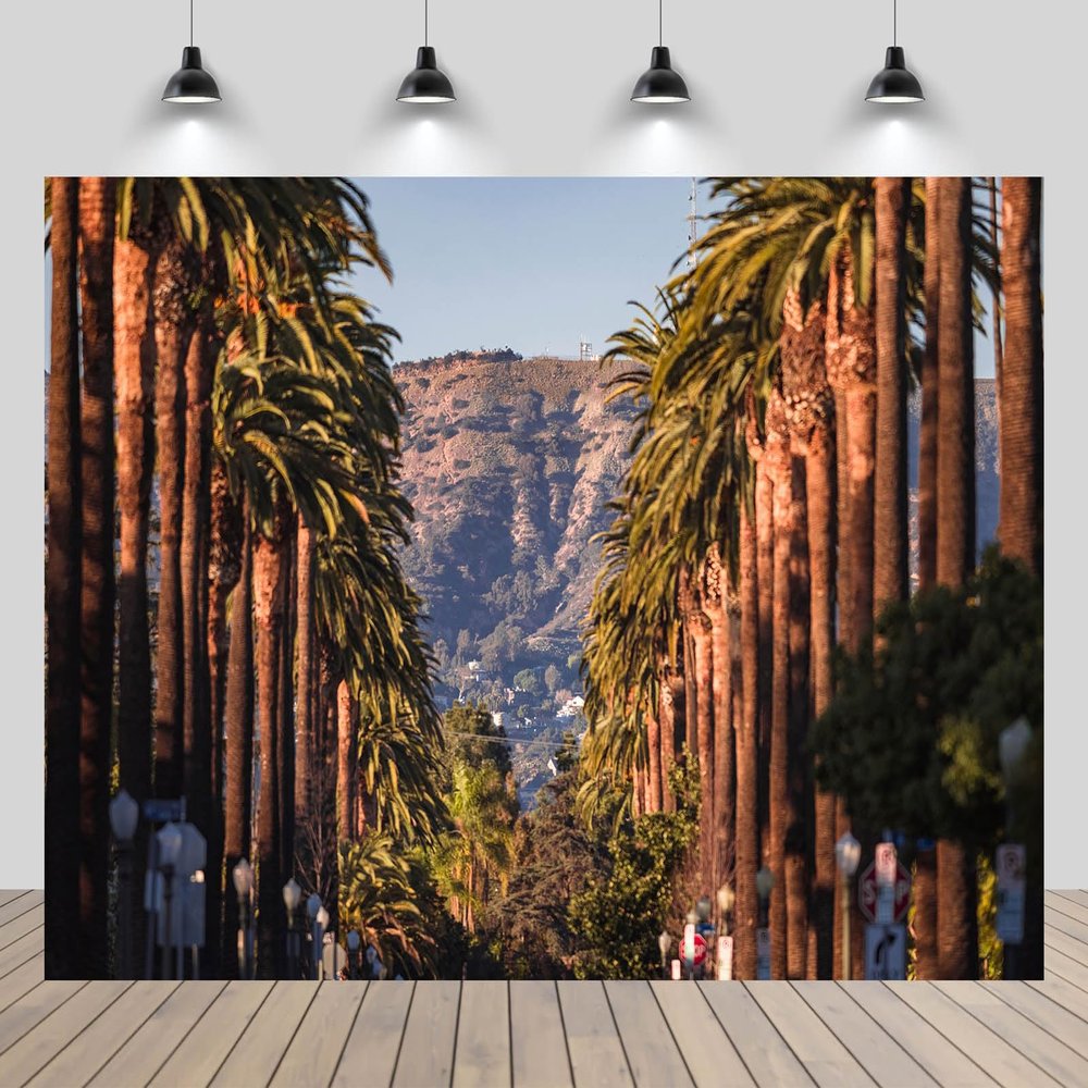 CHNYWORK 6x4ft Hollywood Backdrop American California Los Angeles Palm Trees Hollywood Sign Background United States Travel Summer Vacation Birthday Wedding Party Decor Photo-Shoot Studio Props