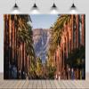 CHNYWORK 6x4ft Hollywood Backdrop American California Los Angeles Palm Trees Hollywood Sign Background United States Travel Summer Vacation Birthday Wedding Party Decor Photo-Shoot Studio Props view 1