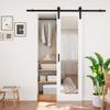 80'' Glass Mirrored Solid Manufactured Wood with Installation Hardware Kit Barn Door(No Assembly Required)24"x80" view 1