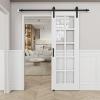 10 Lite Glass Solid + Manufactured Wood with Installation Hardware Kit Barn Door(No Assembly Required)32"x80" view 1