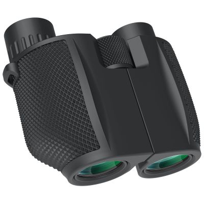 Bird Watching Binoculars for Adults Compact - 10x25 Small Binoculars for Kids Clear Low Light Vision with Large View Portable for Cruise Ship Travel Safari