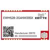 2.4G Lora Mesh Networking Module EWM528-2G4NW20SX 20/37dbm Long Distance Automatic Routing Remote Configuration (2.4G Lora 20dbm) view 1