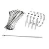 100 PCS Zip Ties Heavy Duty Multi-Purpose Self-Locking Cable Ties Silver 304 Stainless Steel For Machinery 4.6X300mm view 4