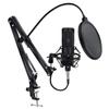 A1DFDFGOQSFG Condenser Micro for Computer Professional Micro with Stand Mic Recording Chating Studio Microfone Vocal Micros view 1