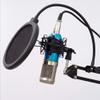 A1DFDFGOQSFG Condenser Microphone Net Red Live Broadcast Equipment Set Computer Recording Anchor Microphone K Song Sound view 1