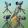 Telescope Accessories SV146 Table Top Tripod for Monocular Telescope Adjustable Tripod view 3